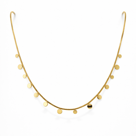 Glided Grace Coin Necklace